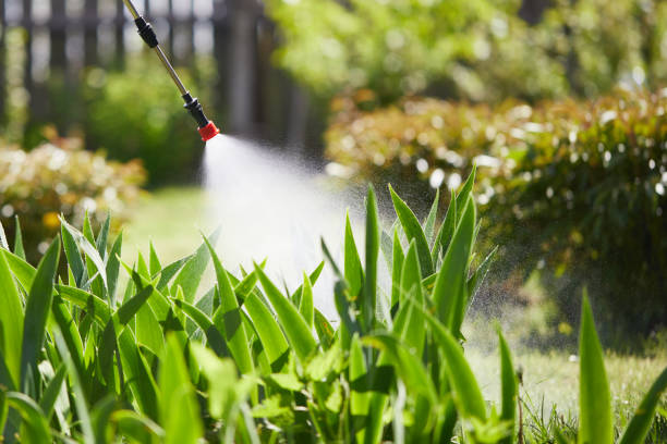 Tamper-Resistant Bait Stations for Rodents in Green Hill