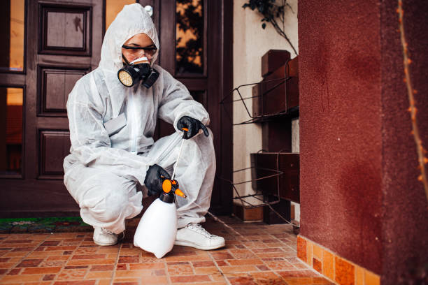 Attic and Crawl Space Rodent Treatment in Green Hill