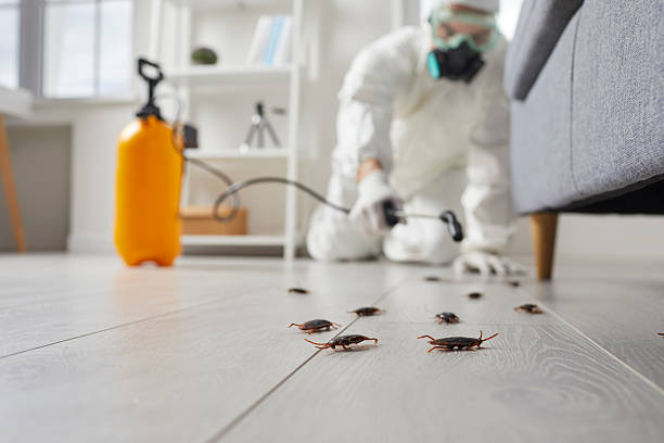 Commercial Rodent Management in Green Hill
